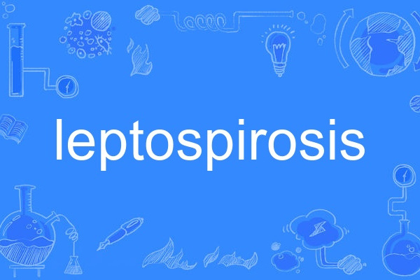 leptospirosis