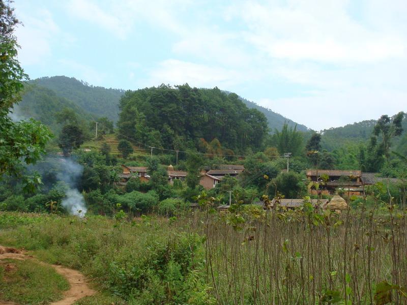 大田自然村(雲南臨滄市雲縣涌寶鎮南糯村委會大田自然村)