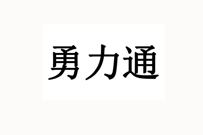 北京勇力通商貿公司