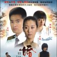 婚內外(婚內外(5DVD))