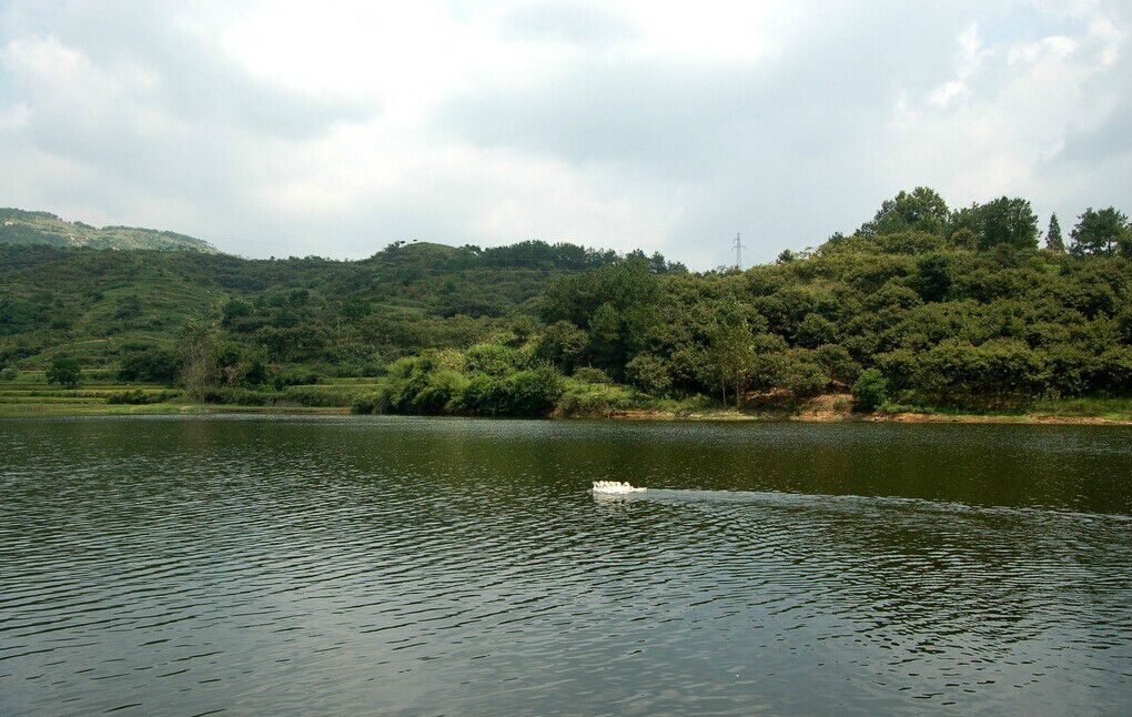 雙河口水庫