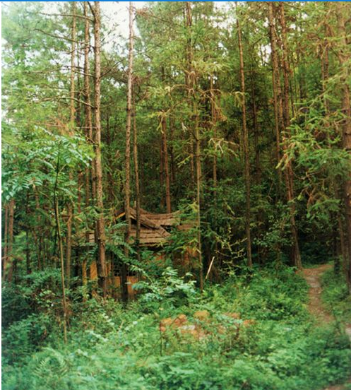 仰頭山森林公園