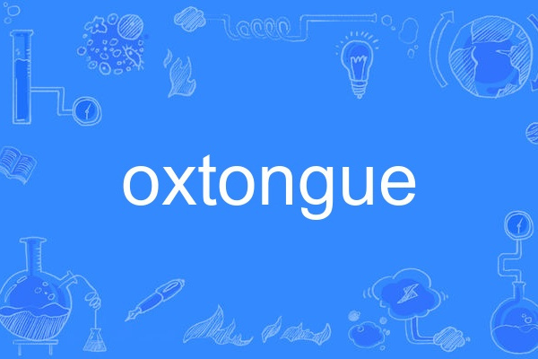 oxtongue