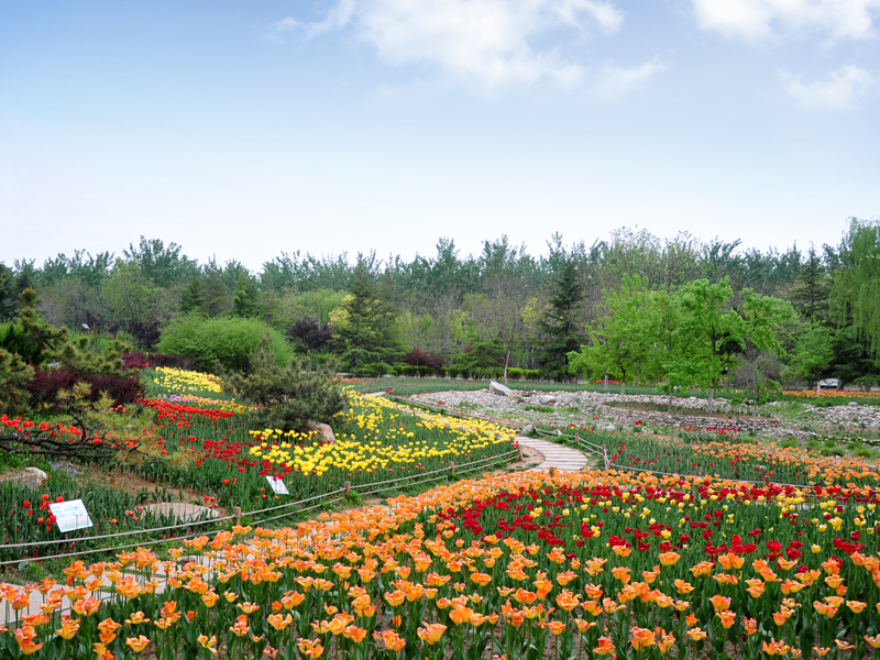 濟南植物園