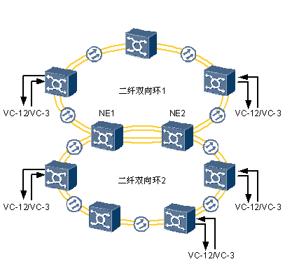 SNCTP