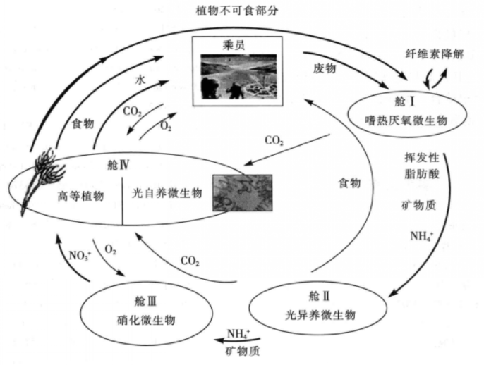 受控生態生命保障系統