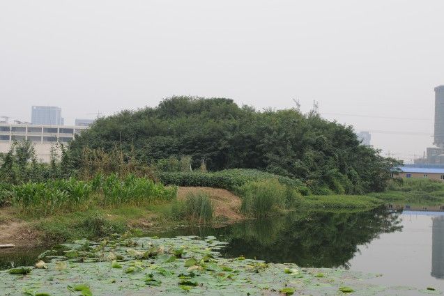 滸路土墩墓