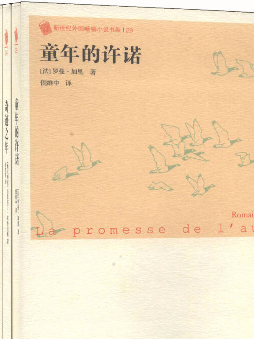 新世紀外國暢銷小說書架（2011年套裝共6冊）