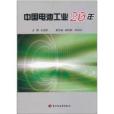 中國電池工業20年