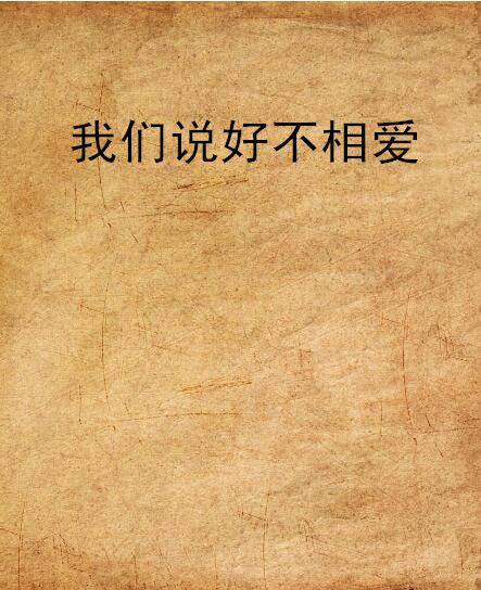 我們說好不相愛(起點小說)