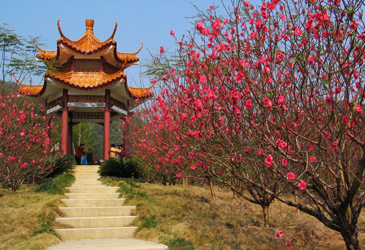 深圳市中國科學院仙湖植物園