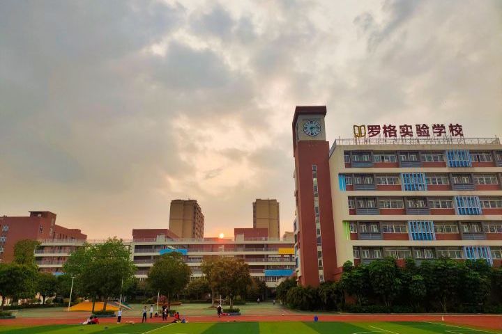 佛山市禪城區羅格實驗學校