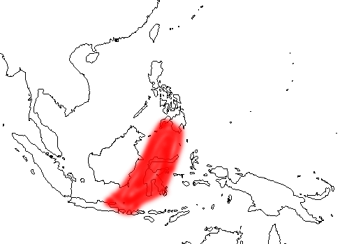 德曼招潮蟹(活動海域圖)