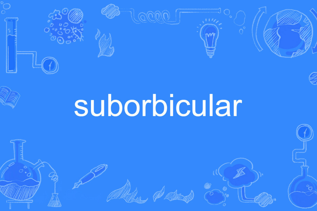 suborbicular