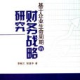 基於企業生命周期的財務戰略研究