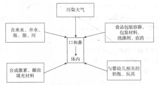 人類暴露於環境激素的主要途徑