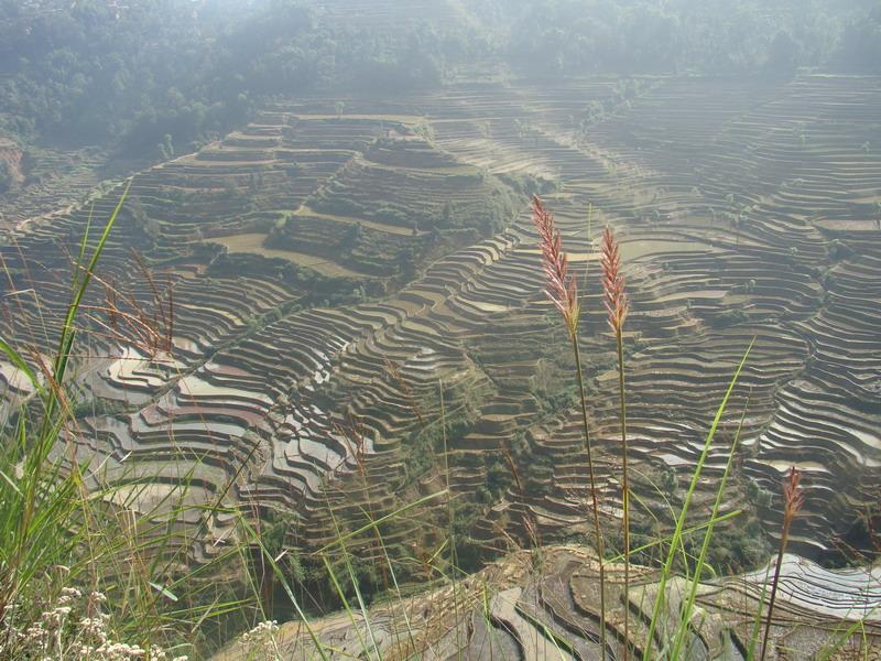 村中田園