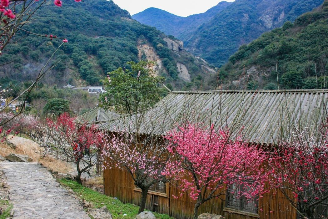 寧波九峰山景區