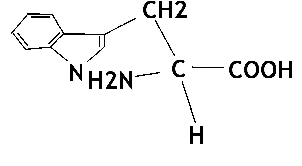 科學語言(語言符號)