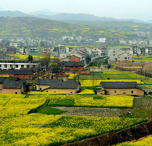 東風村(陝西省安康市恆口鎮東風村)