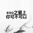 exo之愛上你可不可以