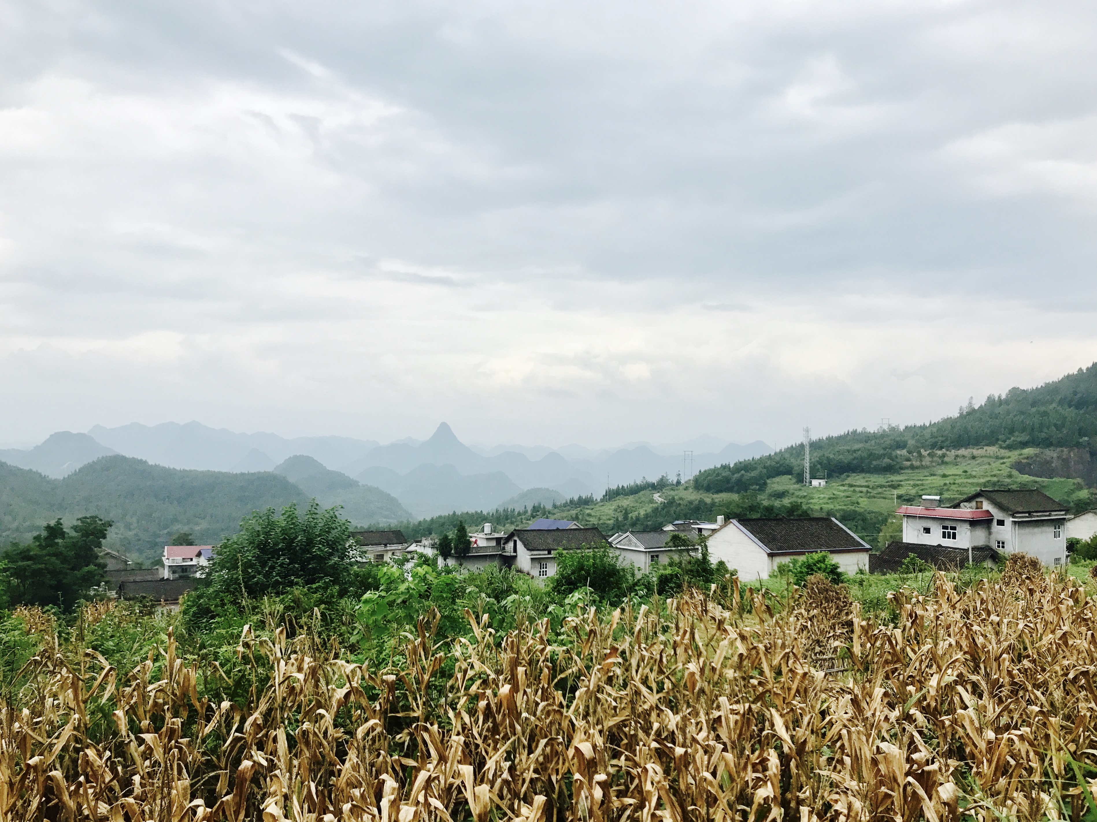 茶園坪村(湖南湘西州花垣縣邊城鎮下轄村)