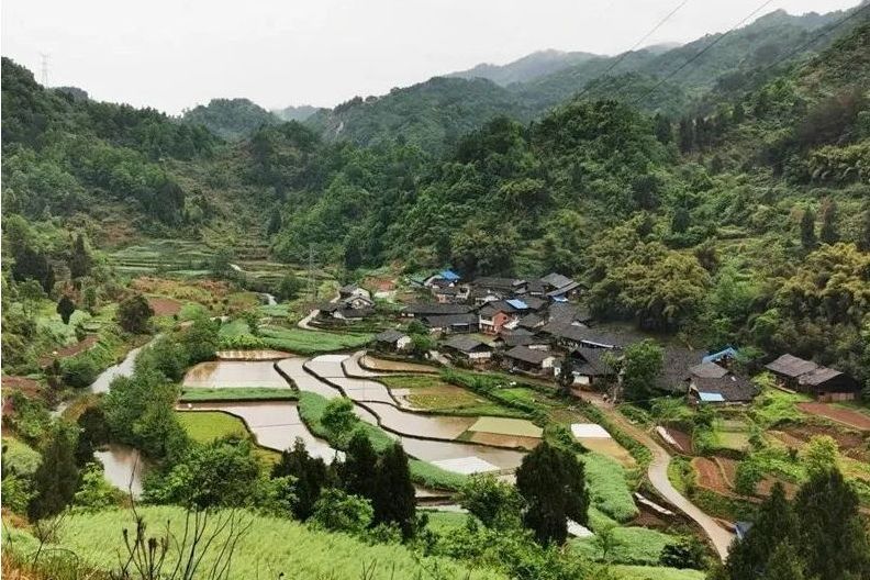 金黃村(四川省達州市達川區大堰鎮下轄村)