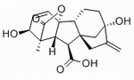 分子結構式