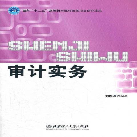 審計實務(2012年北京理工大學出版社出版的圖書)