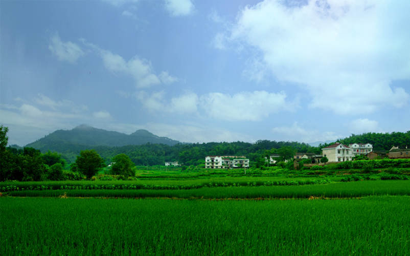 廟前鎮(山西省運城市夏縣廟前鎮)