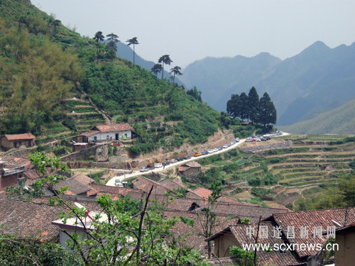 茶樹坪村