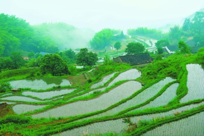 鳧山八畝