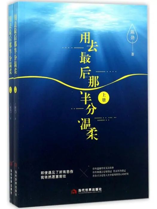 用去最後那半分溫柔(2017年當代世界出版社出版的圖書)