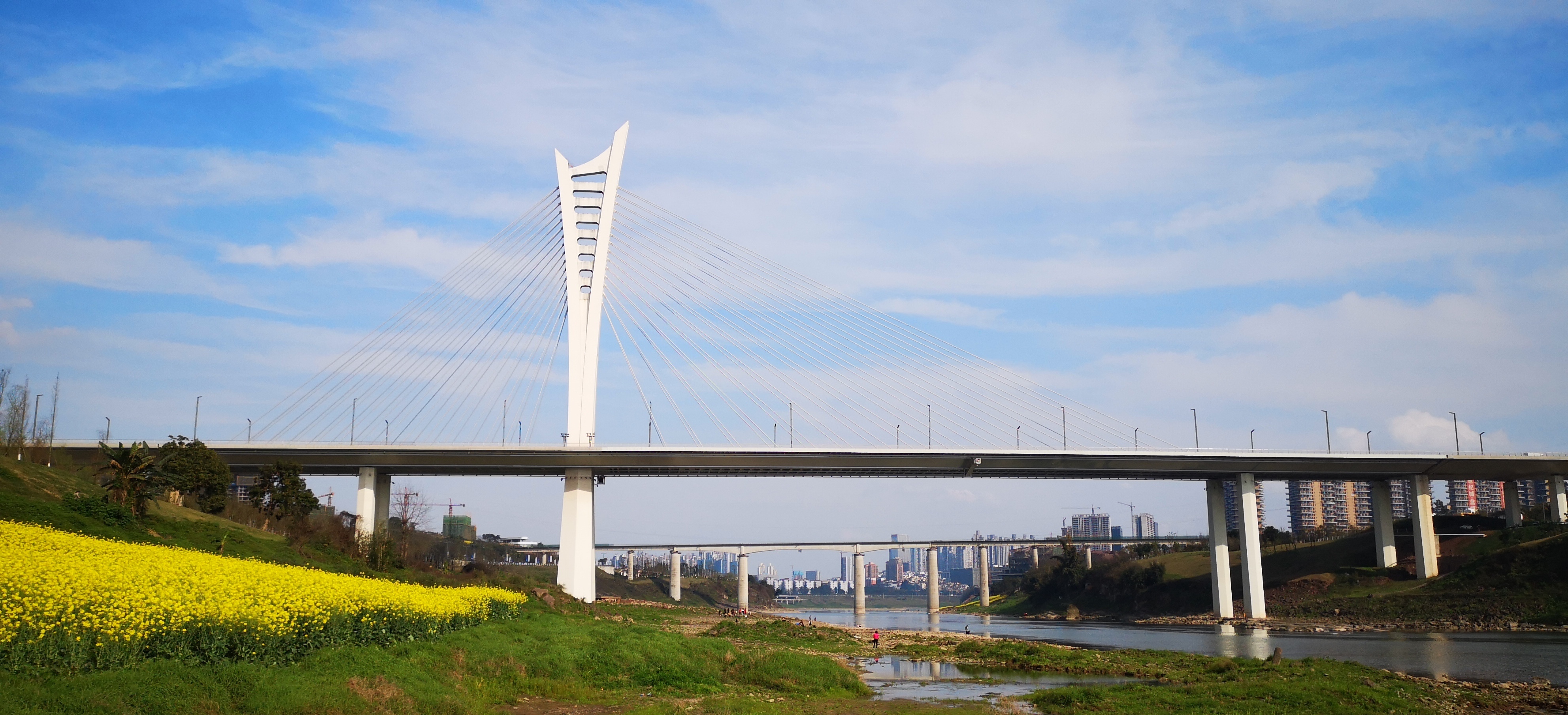 瀘州沱江六橋