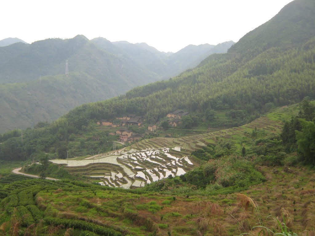 尖山村(雲南省祿勸縣烏東德鎮下轄村)