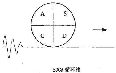 SDCA循環