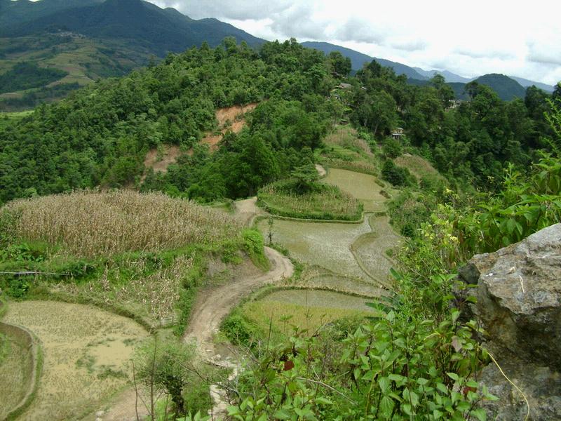 壩魯村