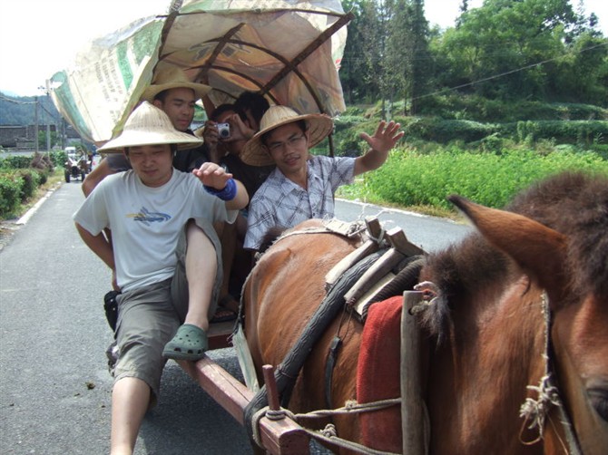 陳聰福在安徽坐著馬車去寫生（右一）