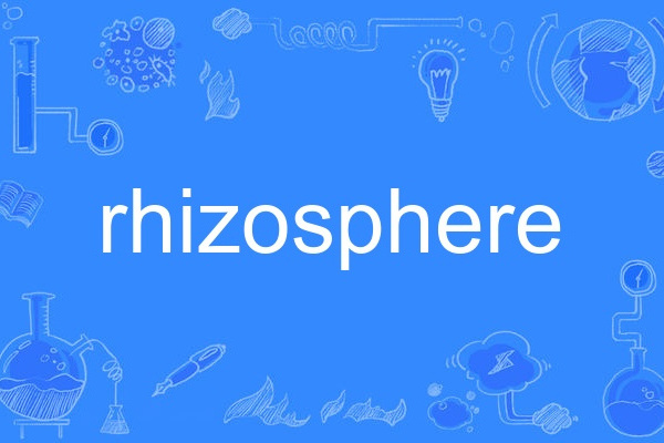 rhizosphere