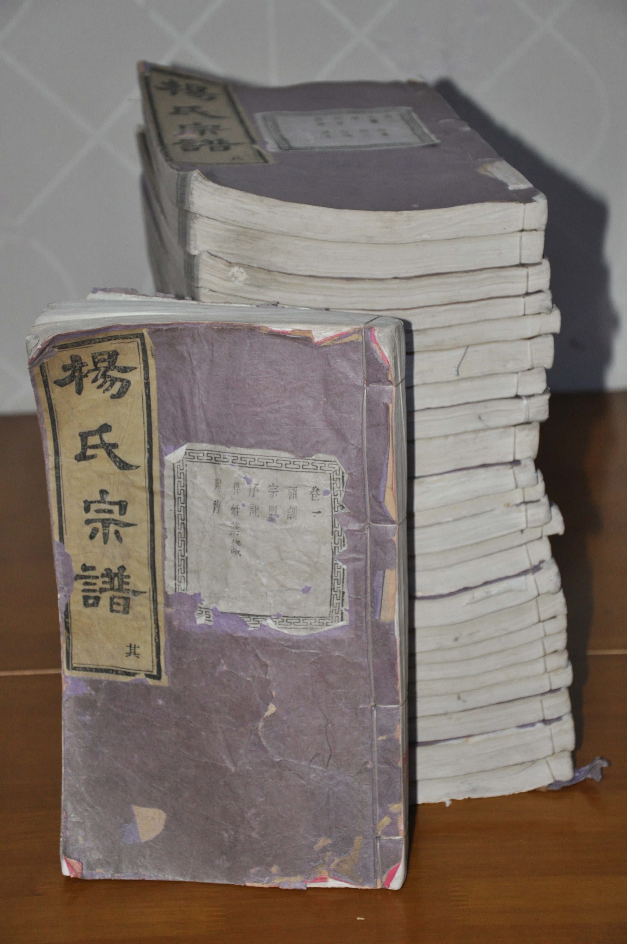 1948年續修的《暨陽城南倪楊氏宗譜》書影