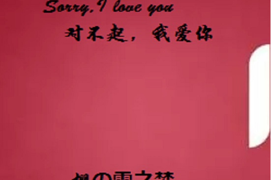 Sorry,I love you 對不起，我愛你