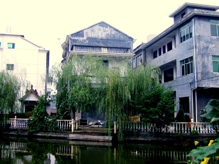 雅里村(山東省聊城市莘縣燕店鎮下轄村)