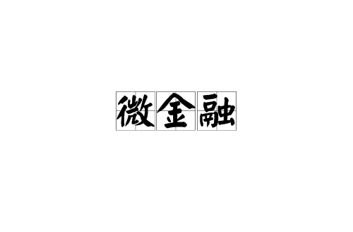 微金融(漢語詞語)