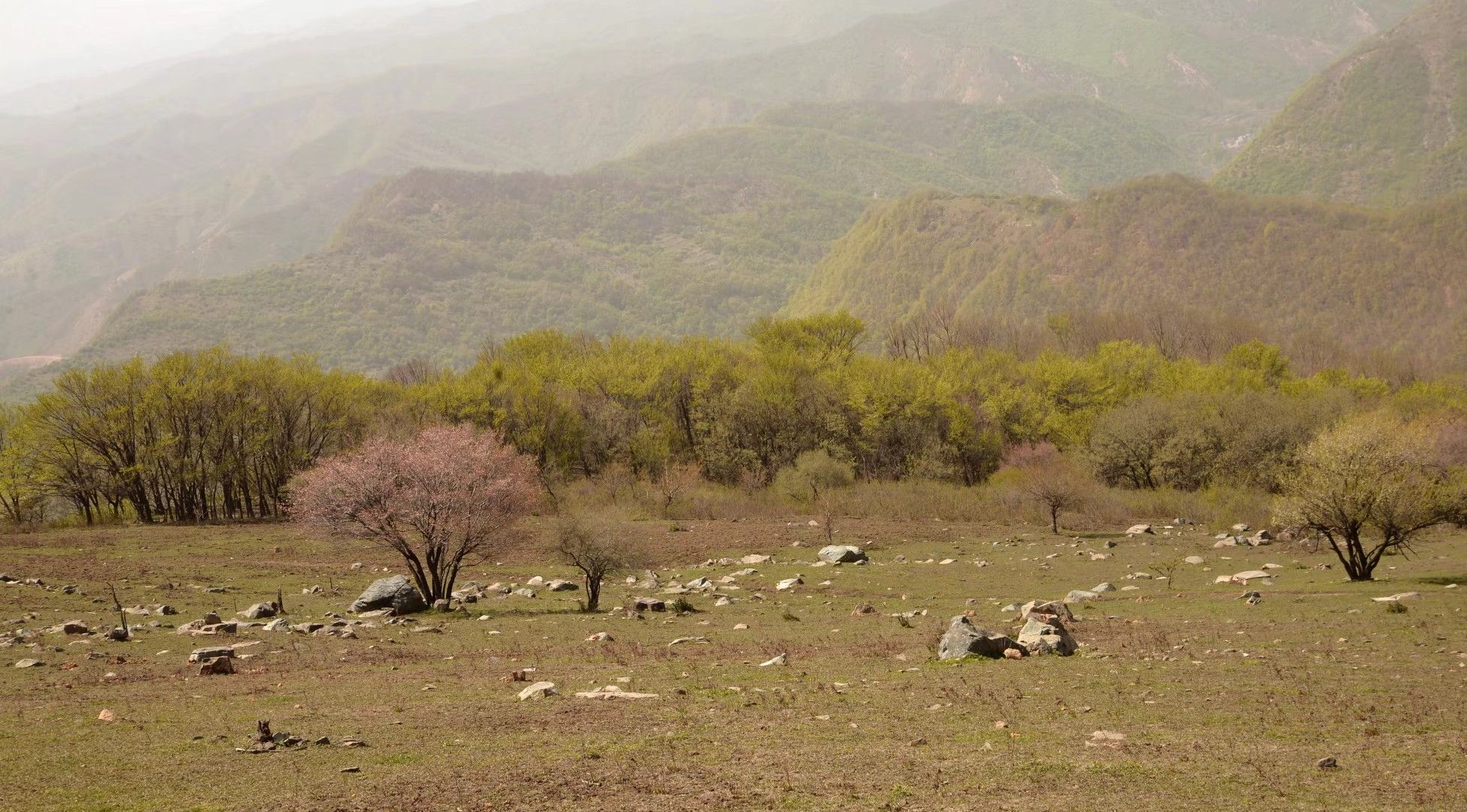 冠雲山