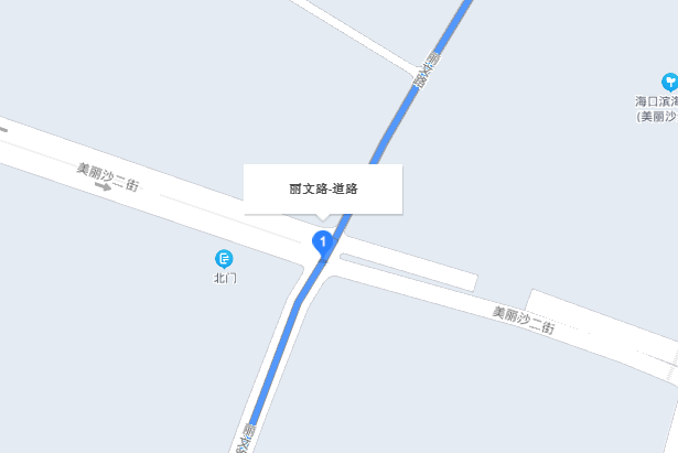 麗文路