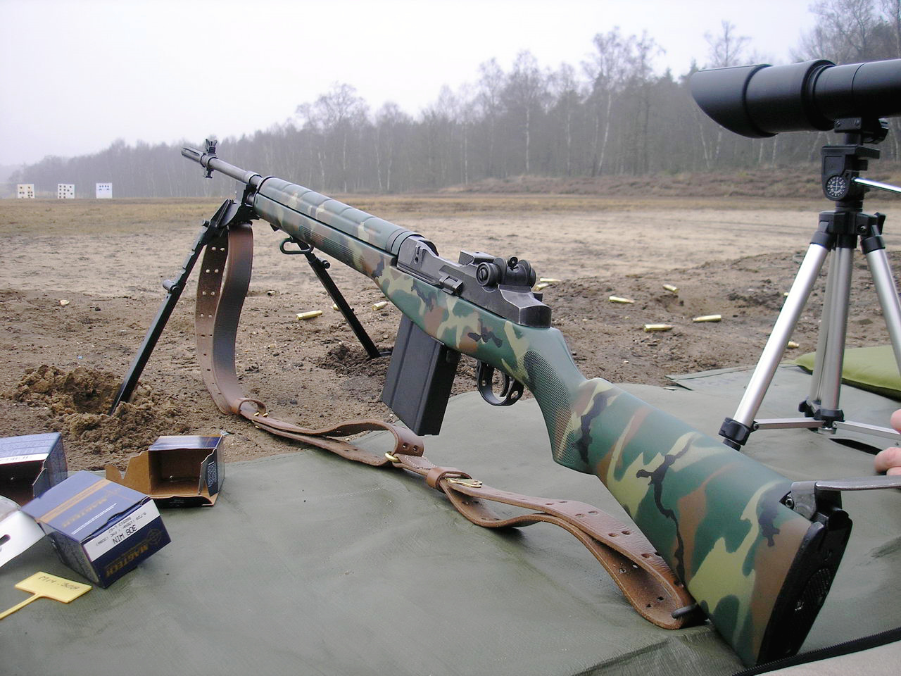 M14步槍(美國M14步槍)