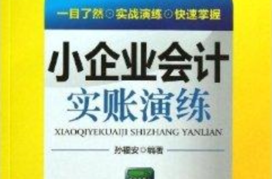 小企業會計實賬演練