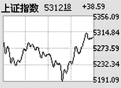 中國神華能源股份有限公司(中國神華)