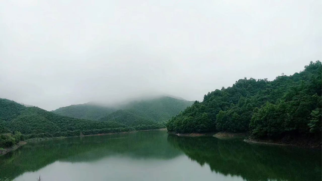 青山村(安徽省池州市東至縣青山鄉青山村)