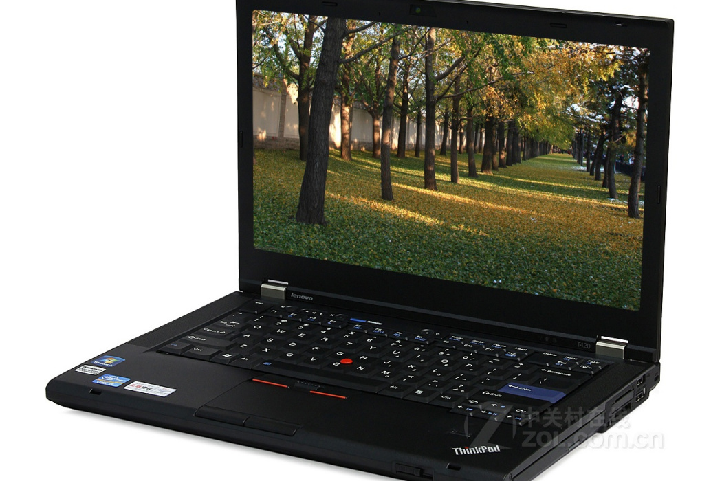 ThinkPad T420(4180EV5)